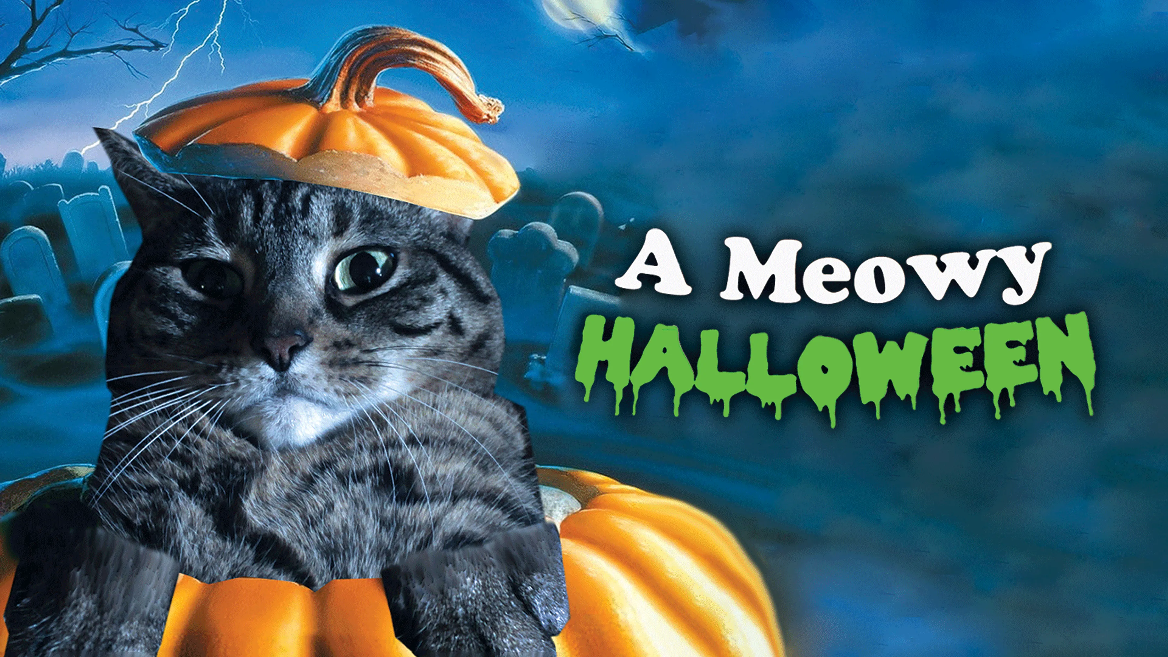 A Meowy Halloween poster